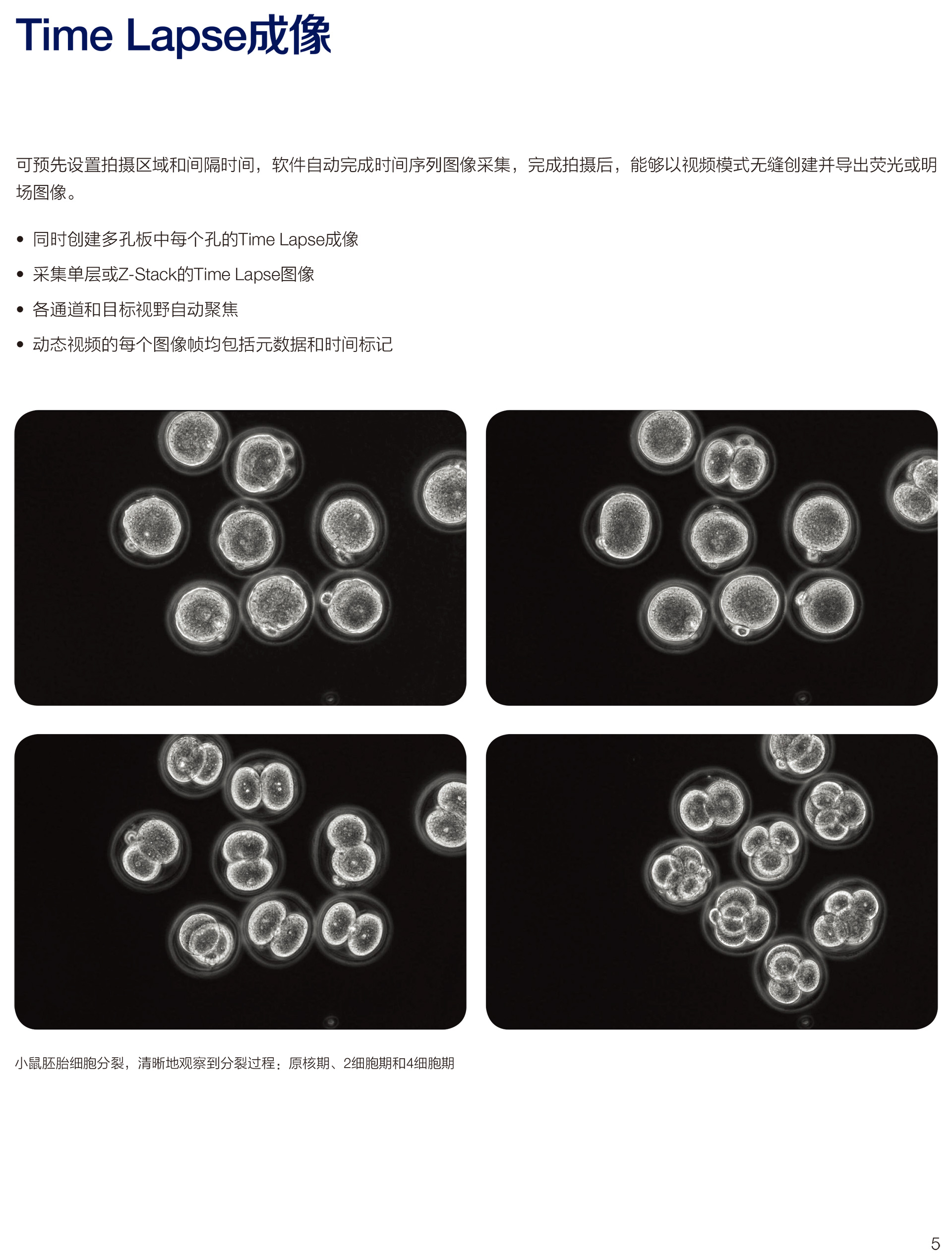 EVOS-M7000-應(yīng)用彩頁-7.jpg
